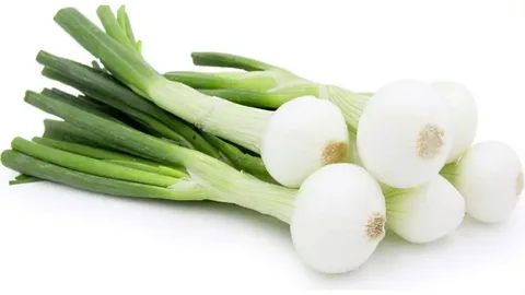 تصویر 2 از پیاز وحشی دشتی طبیعی و کم‌ پرورش برای طعم خالص و اصیل